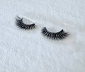 Bloom Lash