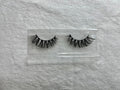 Fancy Lash
