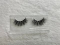 Dream Lash