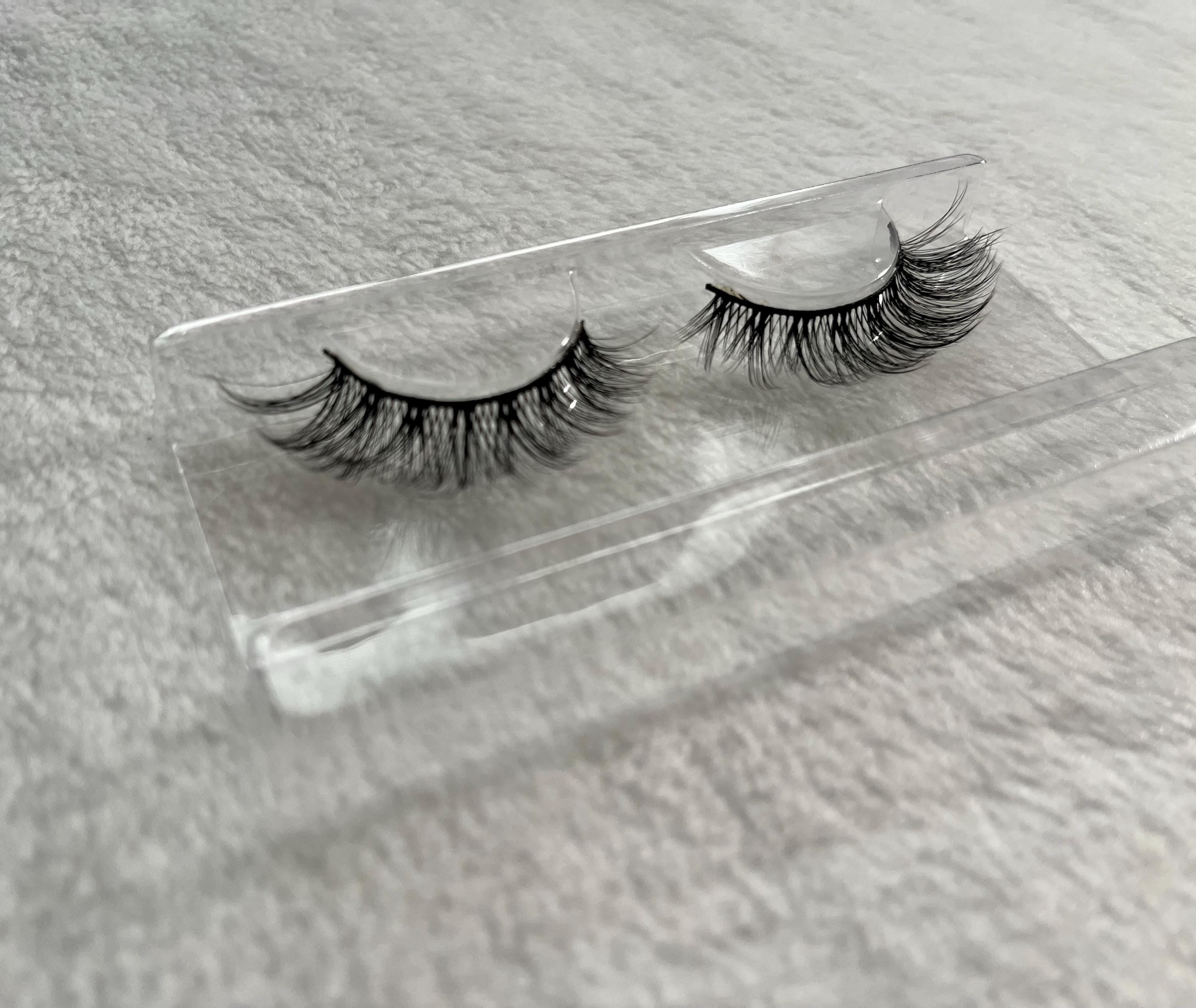Daisy Lash