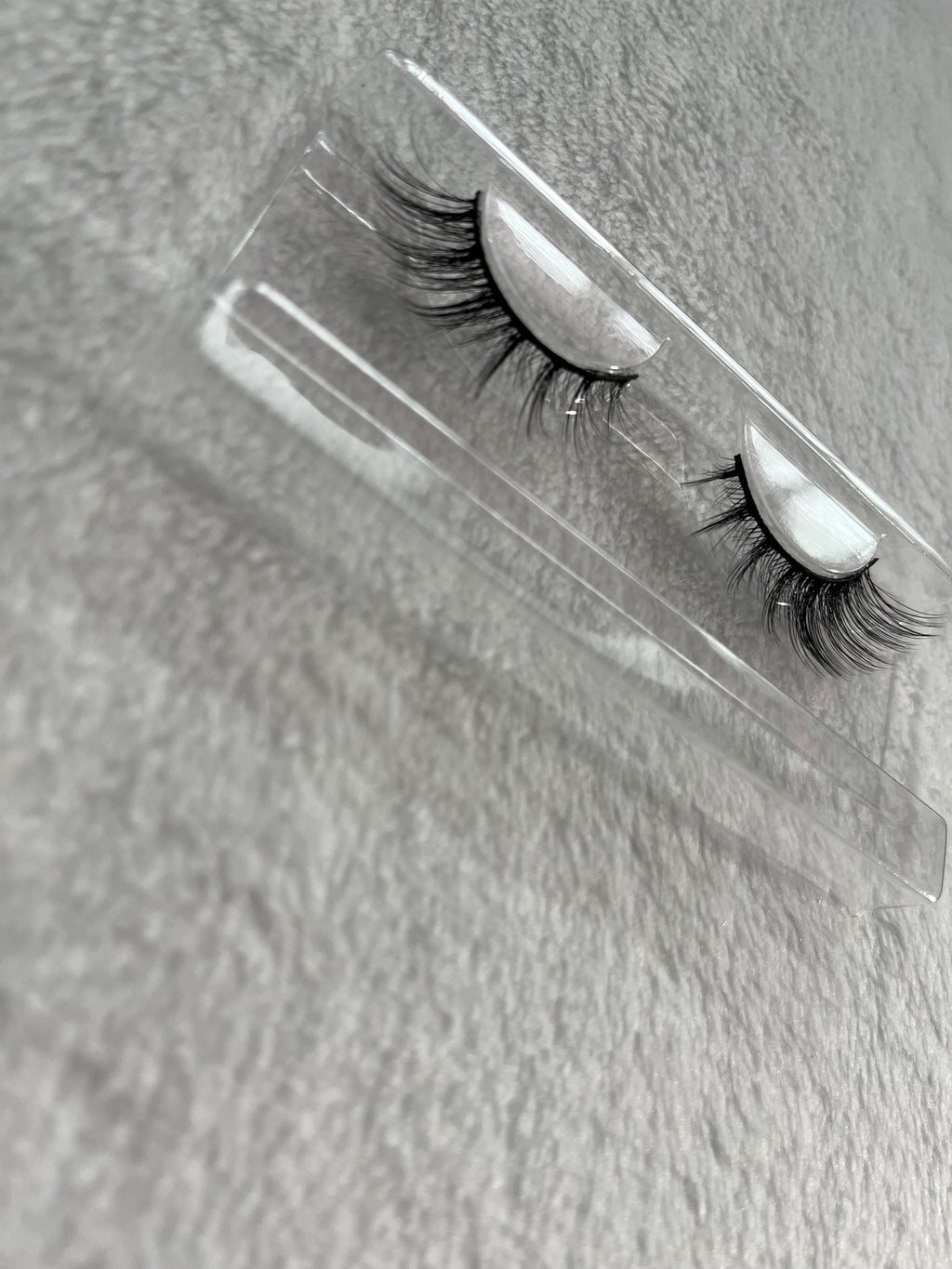 Amy Lash